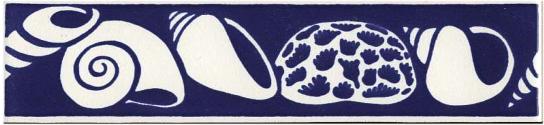 205-467B Fósiles